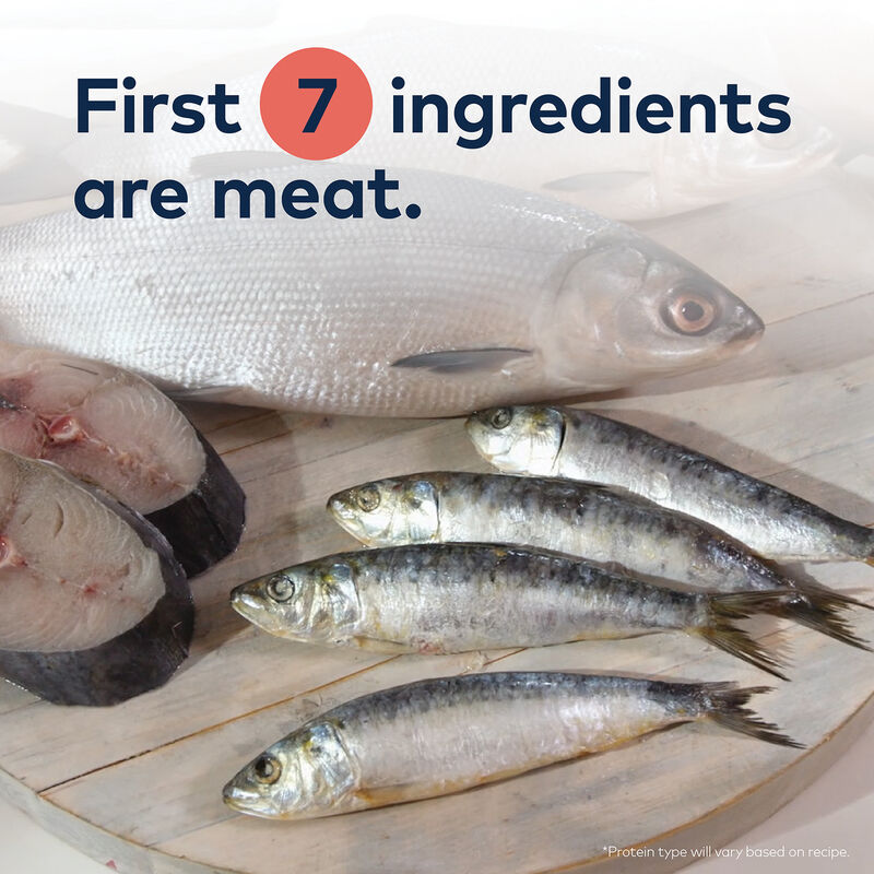 ZIWI, Peak Steam & Dried South Pacific Fish Cat Food image number null